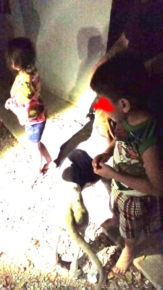 Dos menores son rescatados en Seyé, tras hallarlos solos, sin alimentos y sin agua