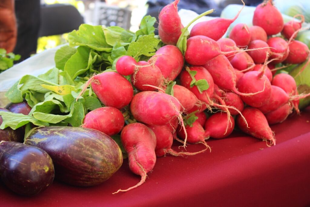 Joaquín Díaz Mena inaugura el Mercado Renacer del Campo Yucateco en Mérida para impulsar la economía local