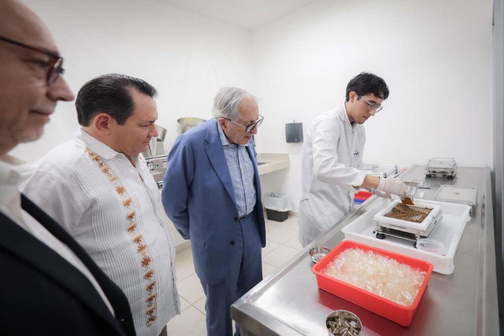 Yucatán consolida estrategia científica para reducir el dengue con el “mosquito bueno” / Joaqín Díaz Mena