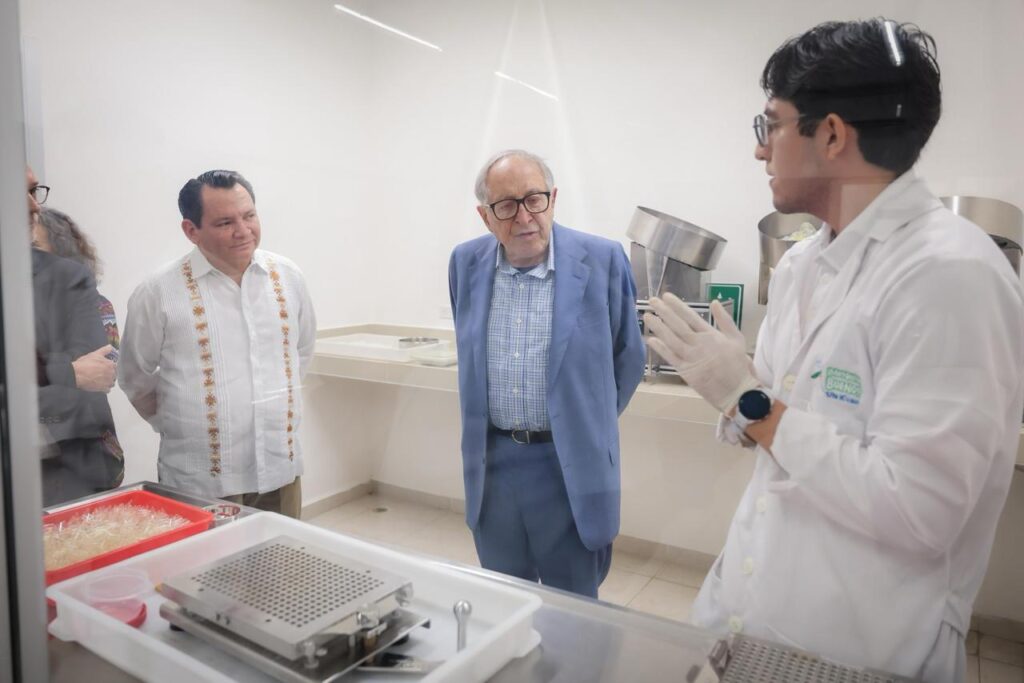 Yucatán consolida estrategia científica para reducir el dengue con el “mosquito bueno” / Joaqín Díaz Mena