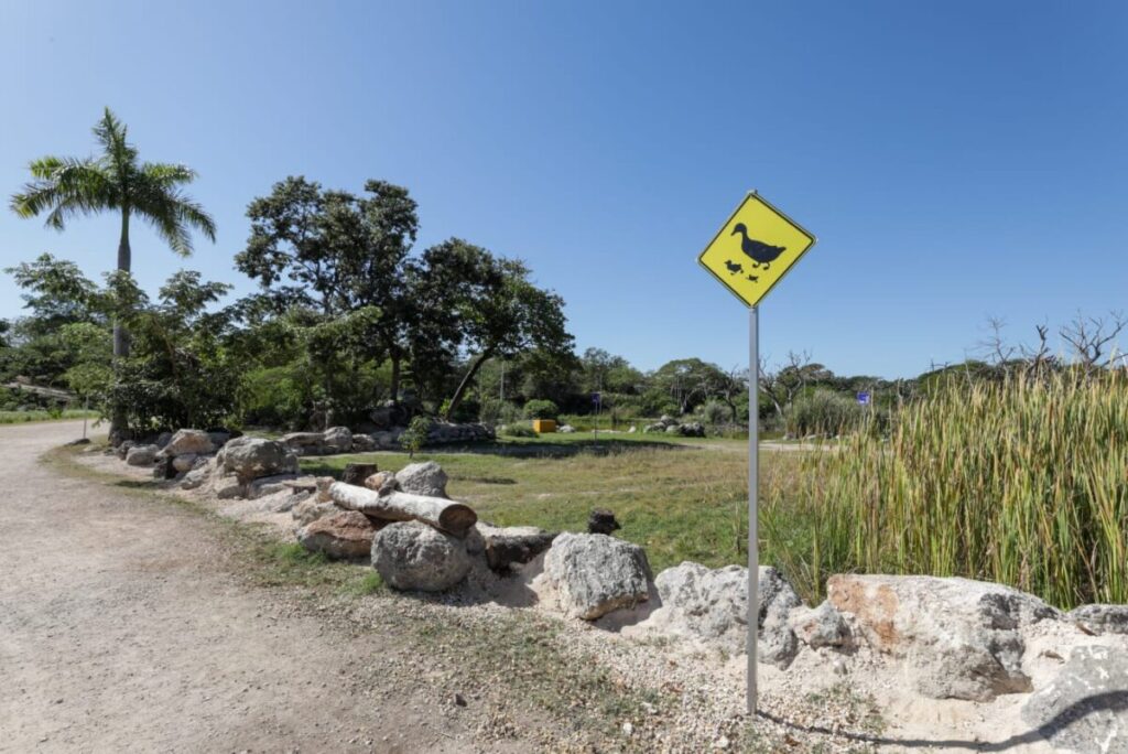 Arrancamos con el primer Bio-Corredor Verde en la historia de Mérida; Cecilia Patrón