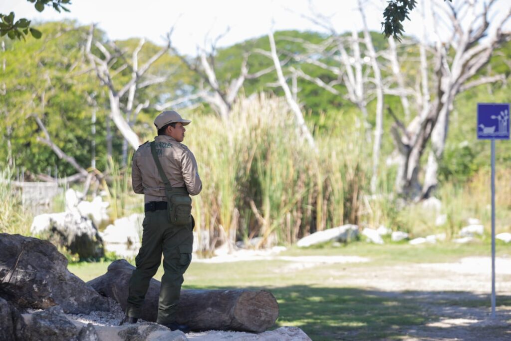 Arrancamos con el primer Bio-Corredor Verde en la historia de Mérida; Cecilia Patrón