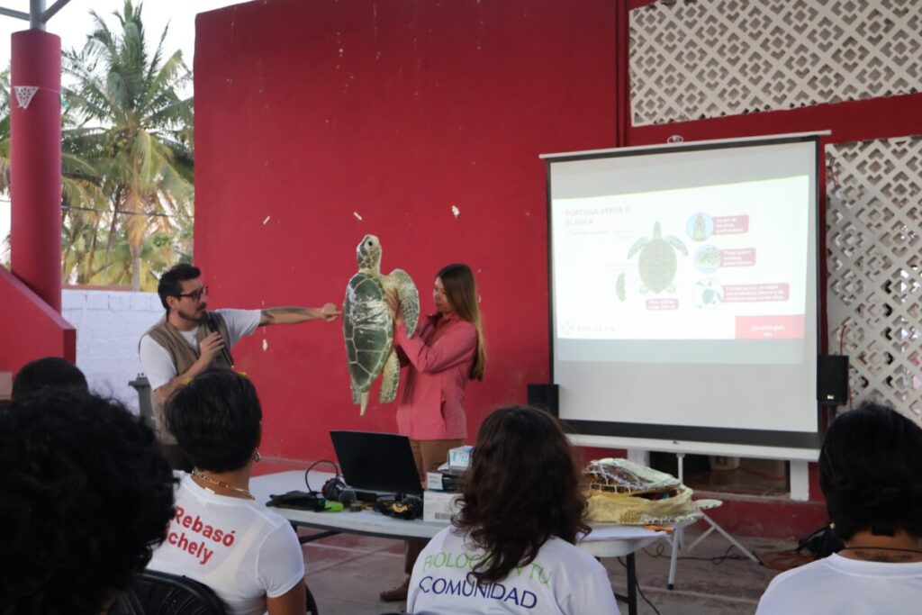 Anidación de tortugas marinas: SDS fortalece preparación del voluntariado rumbo a la temporada 2026 en Yucatán