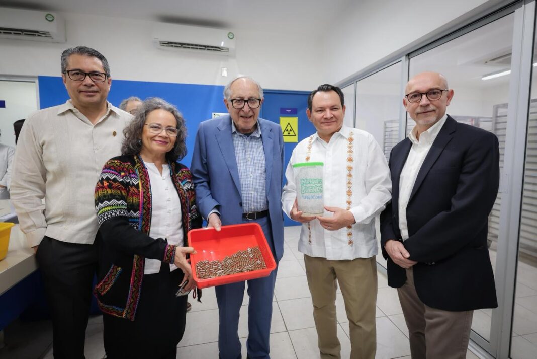 Yucatán consolida estrategia científica para reducir el dengue con el “mosquito bueno” / Joaqín Díaz Mena