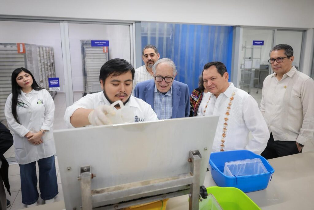 Yucatán consolida estrategia científica para reducir el dengue con el “mosquito bueno” / Joaqín Díaz Mena