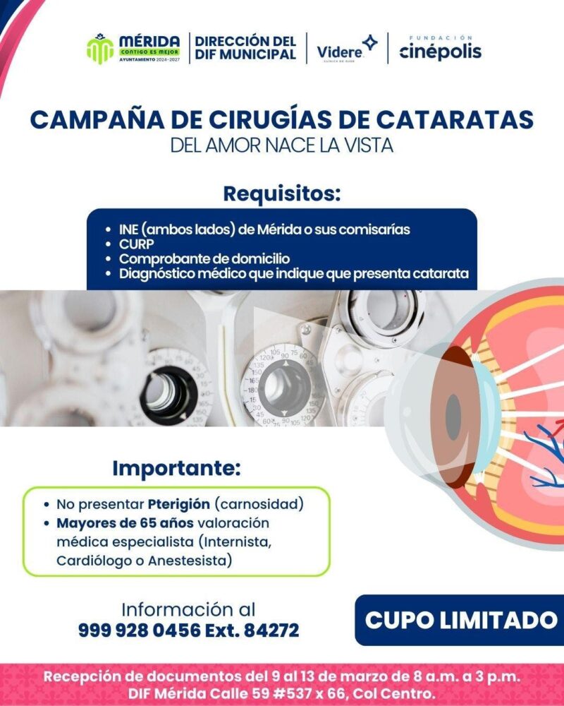 El Ayuntamiento ha establecido una serie de requisitos documentales