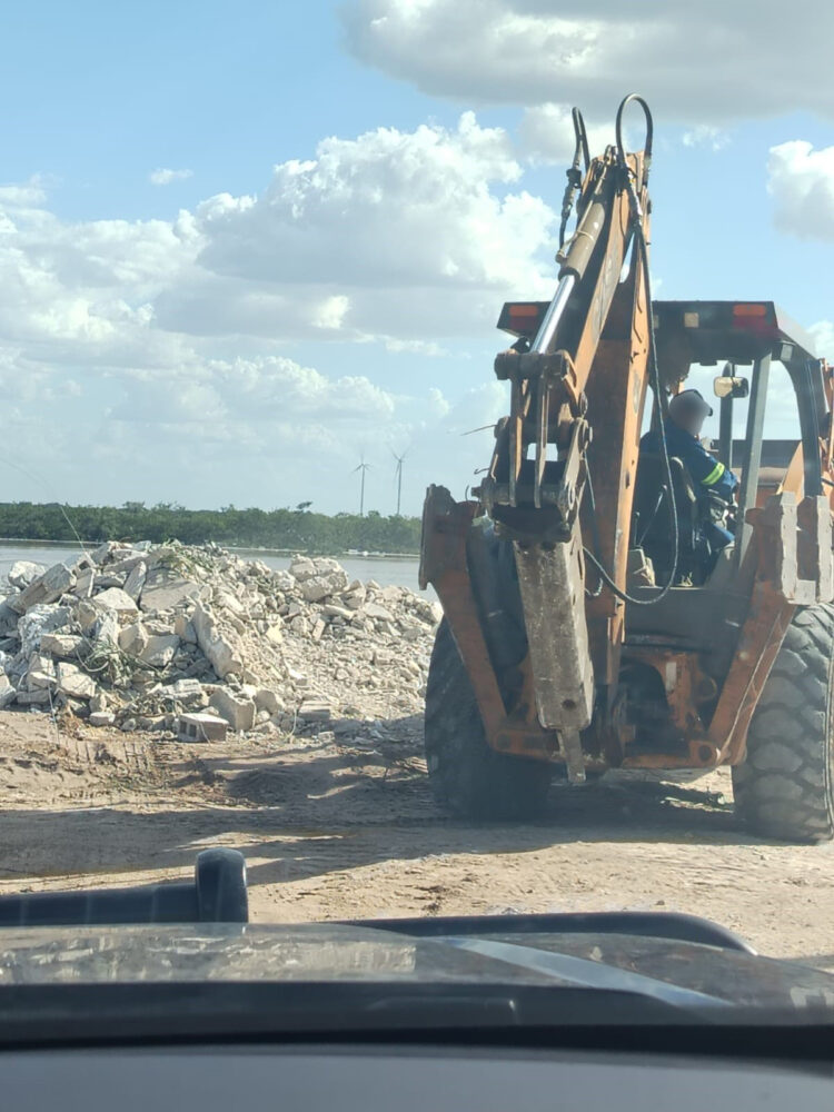 La Profepa clausura obras ilegales en manglares de Chicxulub Puerto, Progreso; se asegura maquinaria y frena daños ambientales
