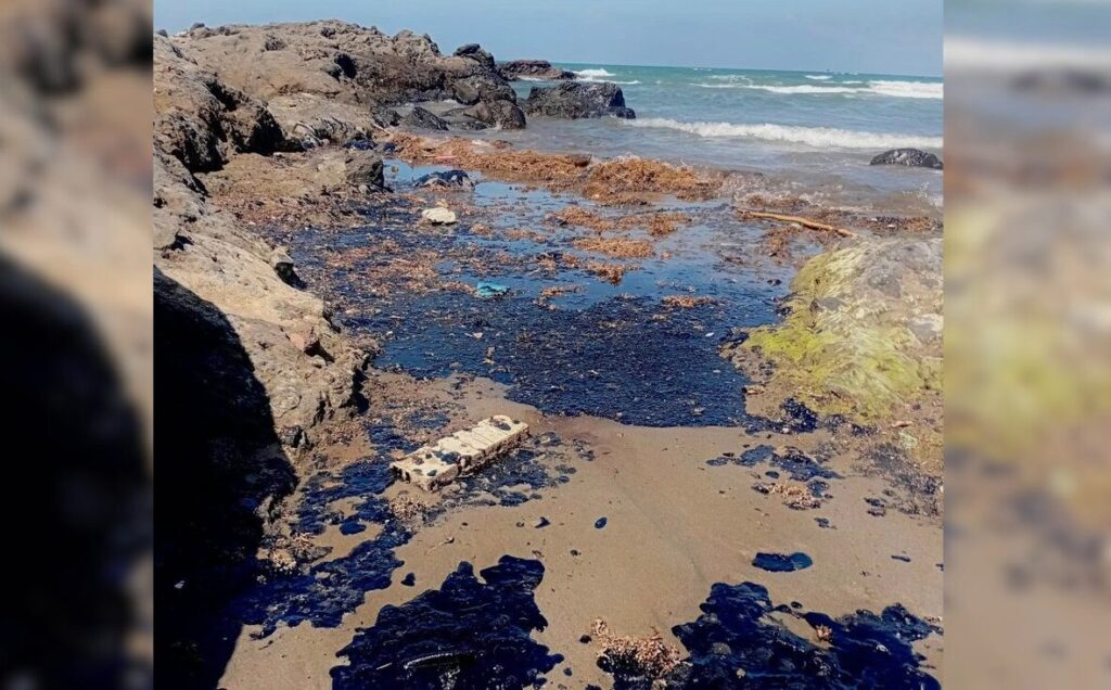 Daño ambiental en el Golfo de México: derrame de hidrocarburos revela múltiples fuentes y golpea a pescadores de Veracruz