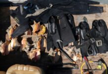 Detienen a tres pescadores furtivos en Arrecife Alacranes por extracción de caracol rosado