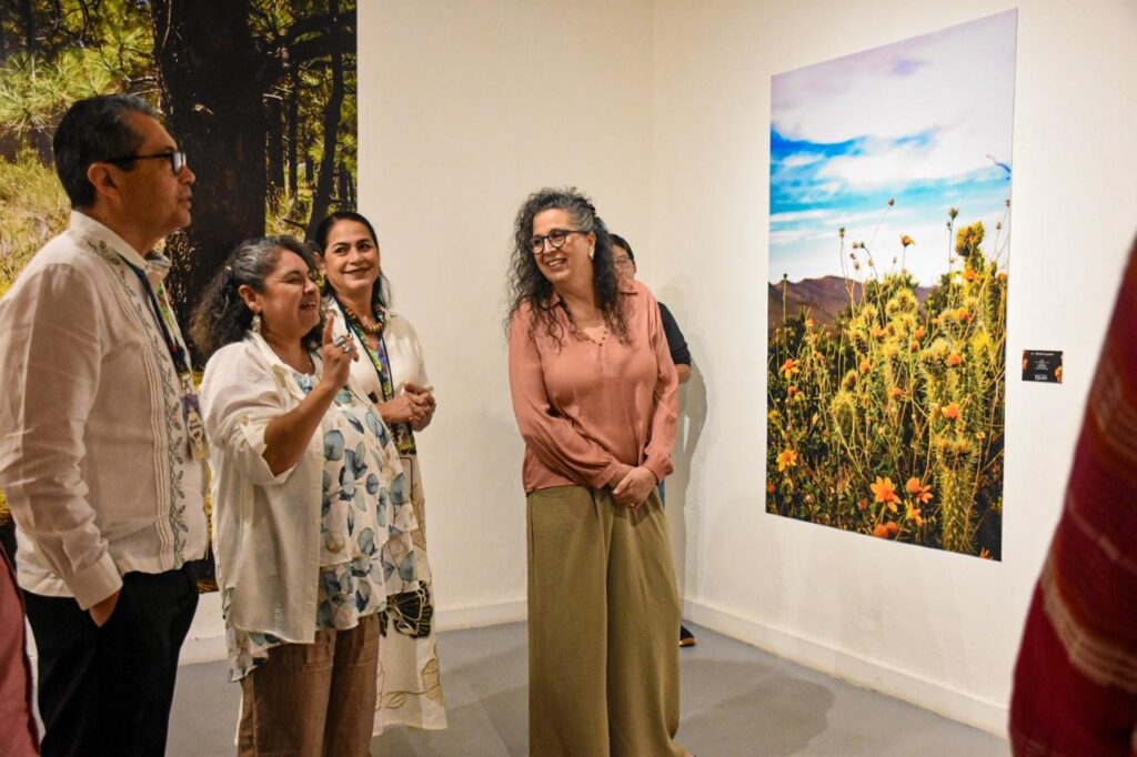 Arte de Baja California, Campeche y Yucatán dialogan en tres nuevas exposiciones en el Museo de la Ciudad / Ayuntamiento de Mérida