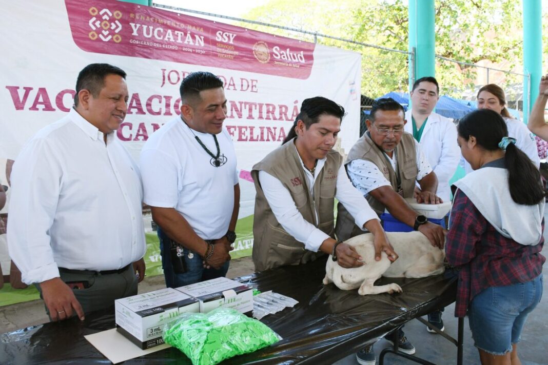 SSY pone en marcha la Primera Semana Nacional de Vacunación Antirrábica Canina y Felina en Yucatán / Renacimiento Maya