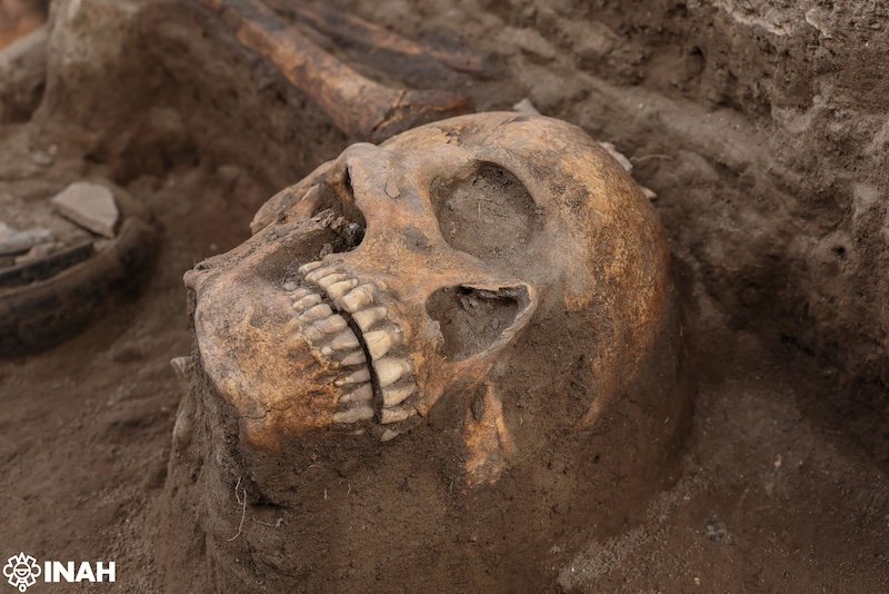 Descubren altar tolteca con cráneos humanos durante obras del tren Pasajeros Ciudad de México–Querétaro / INAH