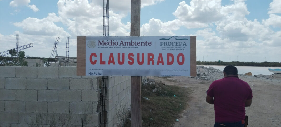 La Profepa clausura obras ilegales en manglares de Chicxulub Puerto, Progreso; se asegura maquinaria y frena daños ambientales