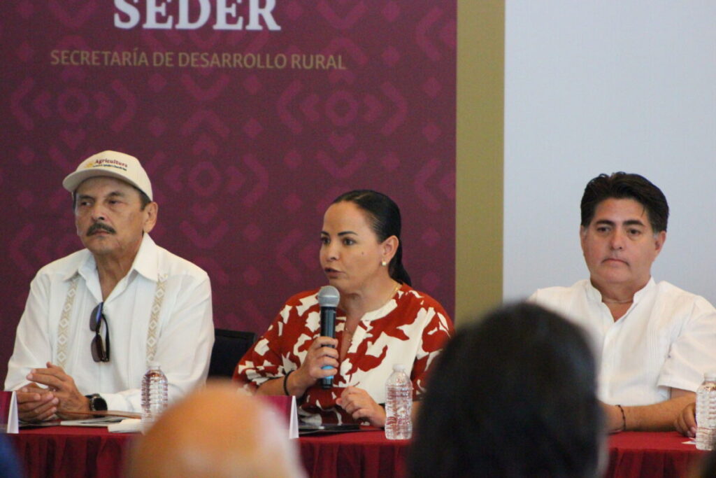 https://www.facebook.com/gobierno.estado.yucatan