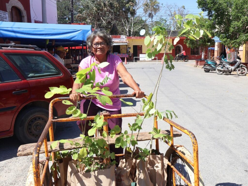 Tekantó fortalece la apicultura y el medio ambiente con el Renacimiento Verde.