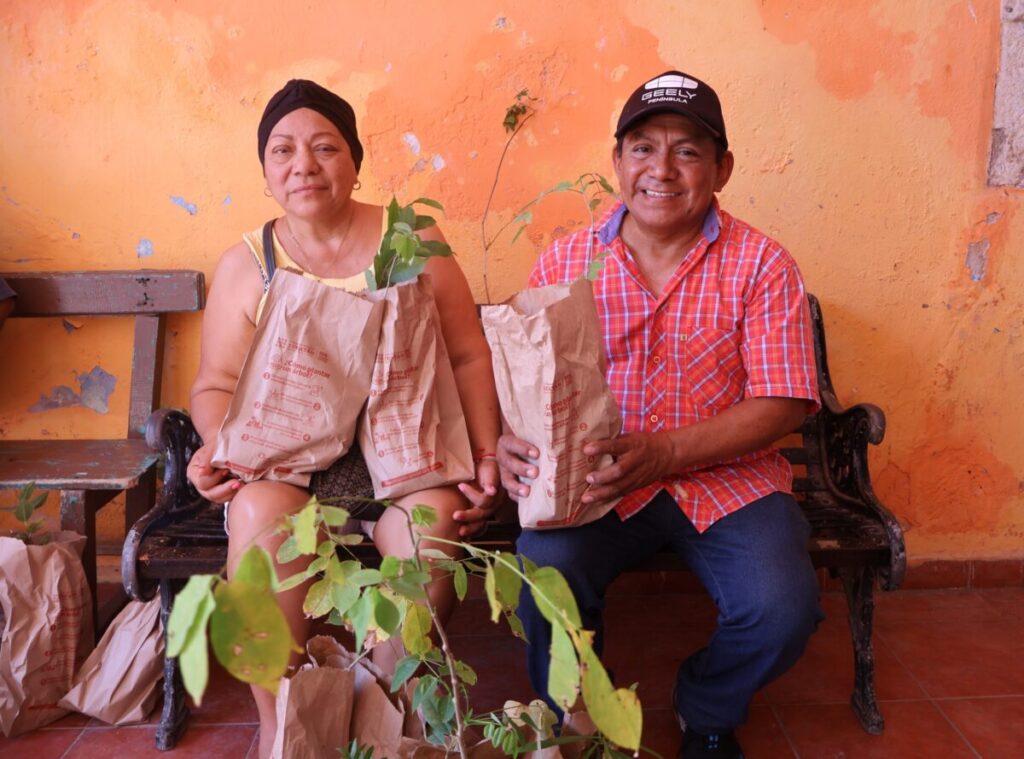 150 productores de Tekantó reciben plantas nativas para combatir el cambio climático.