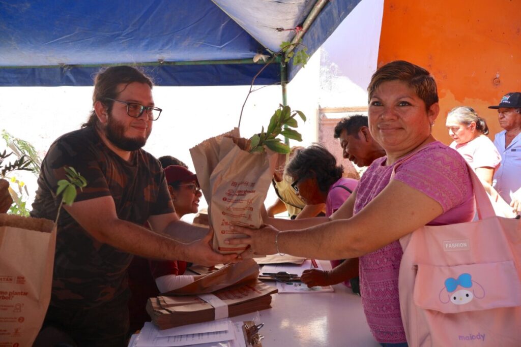 La estrategia que garantiza el futuro de la miel y el oxígeno en Yucatán.