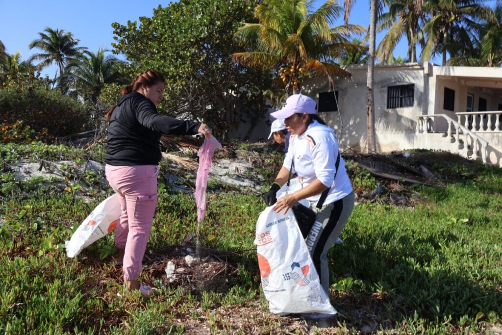 Proteger los manglares y las costas es vital para la resiliencia de Yucatán