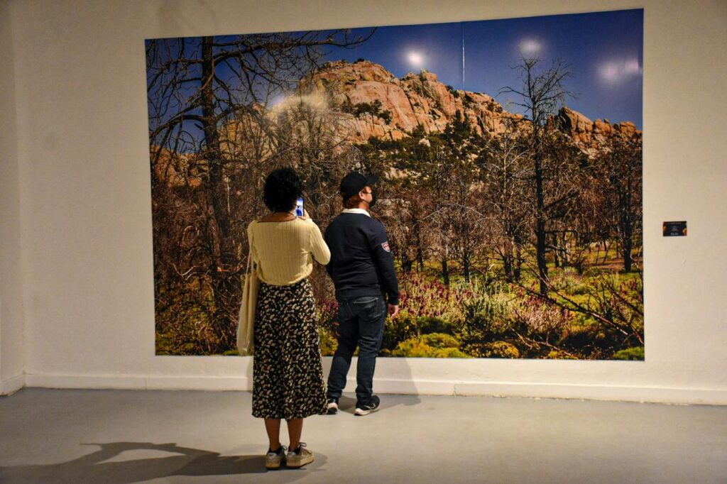 Arte de Baja California, Campeche y Yucatán dialogan en tres nuevas exposiciones en el Museo de la Ciudad / Ayuntamiento de Mérida