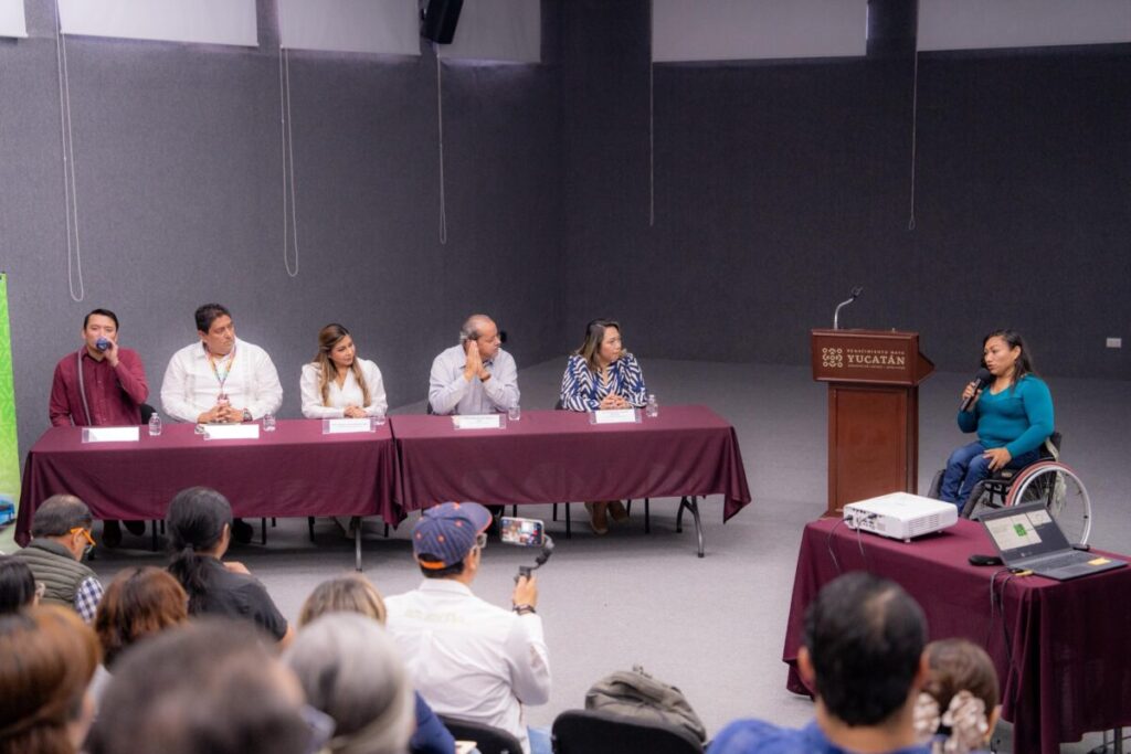Estrategia profesionalización ATY Yucatán 2026
