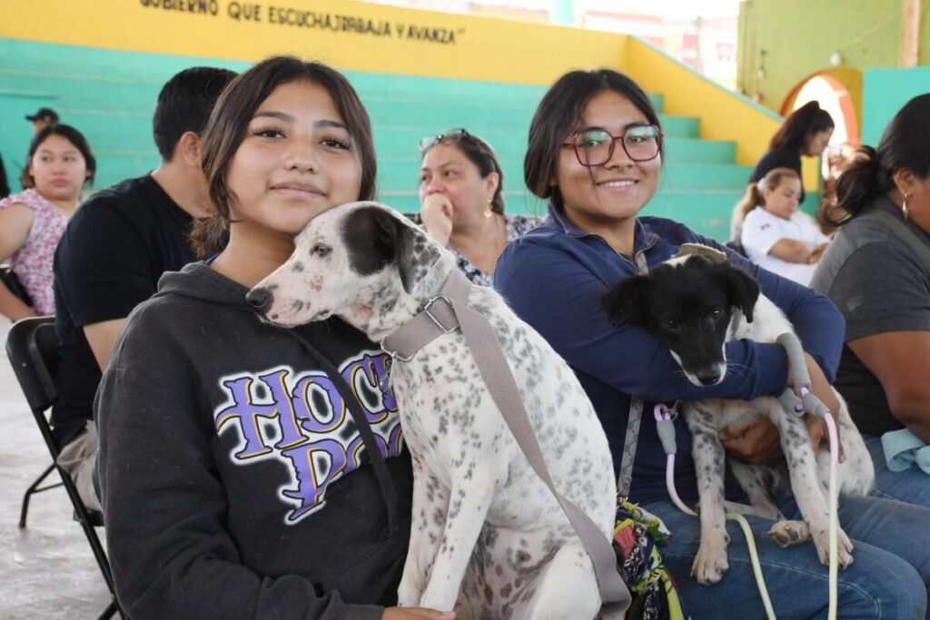 SSY pone en marcha la Primera Semana Nacional de Vacunación Antirrábica Canina y Felina en Yucatán / Renacimiento Maya