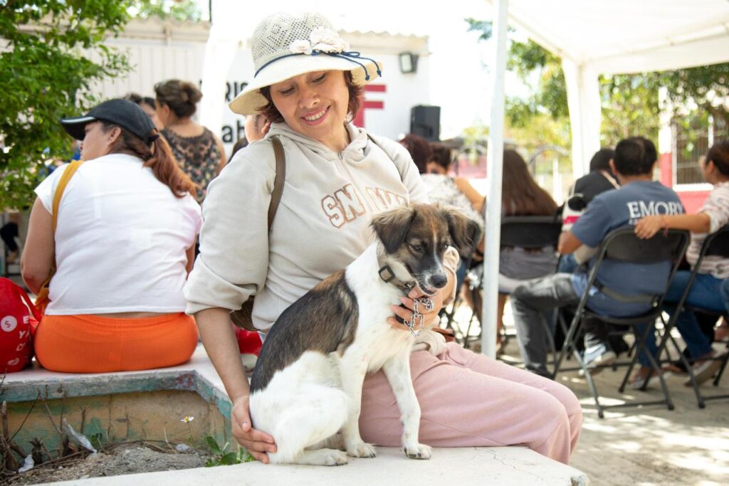 Jornada de esterilizaciones canina y felina gratuita en Umán 2026.