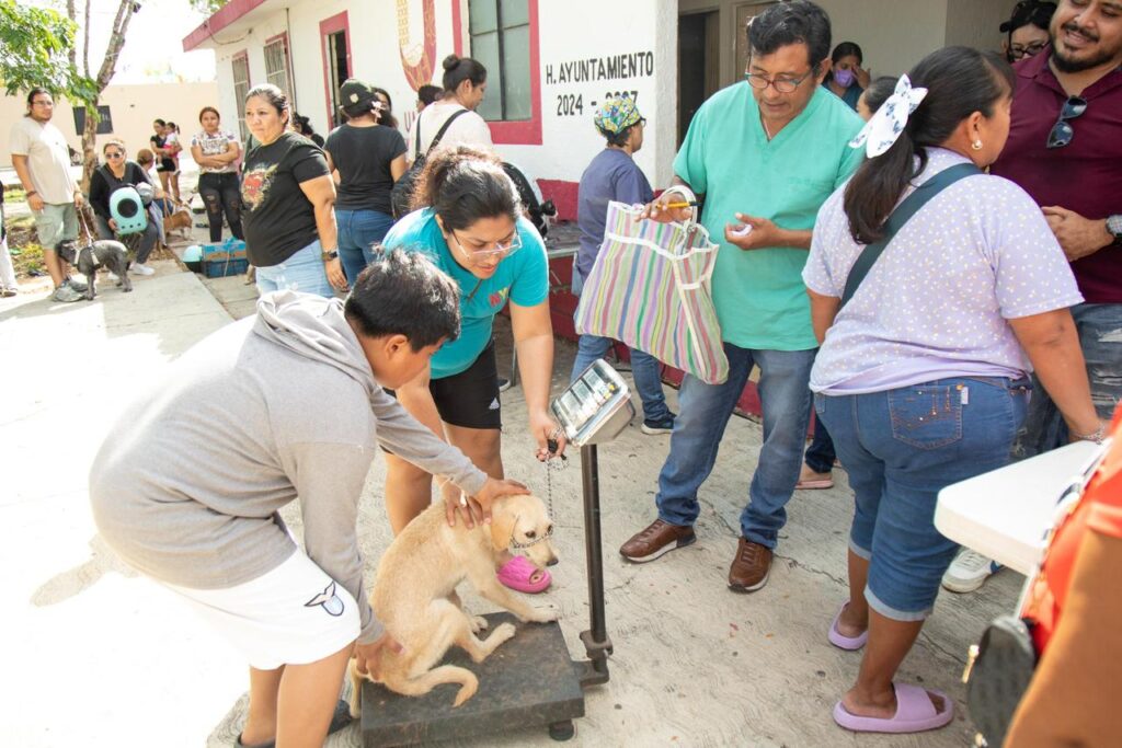 Las esterilizaciones masiva es reconocida por organismos internacionales