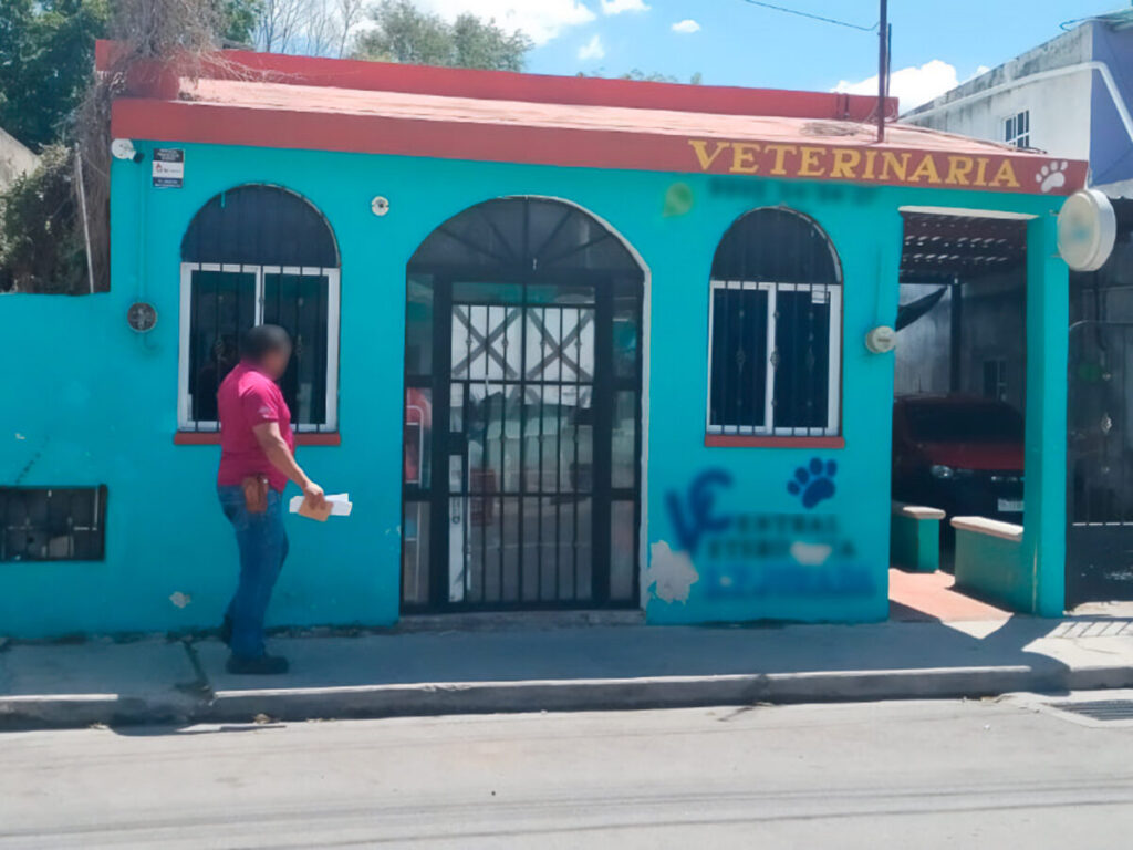 Profepa asegura a 103 ejemplares de vida silvestre en Mérida y sus alrededores