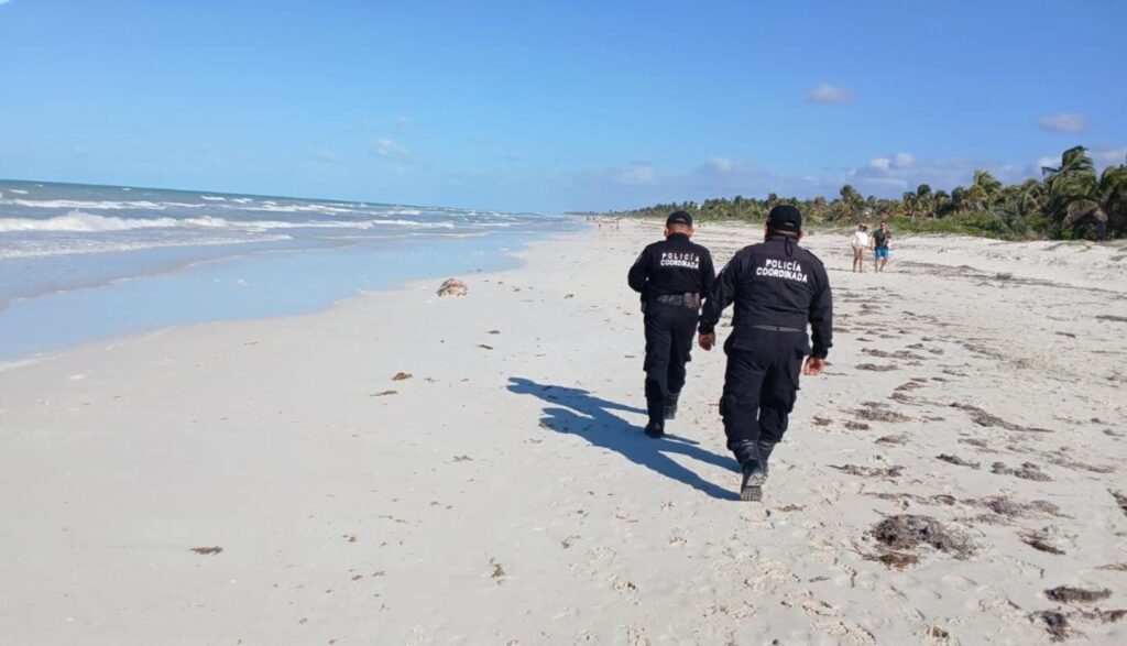 Hallan tortuga marina sin vida en playa "El Cuyo" de Tizimín