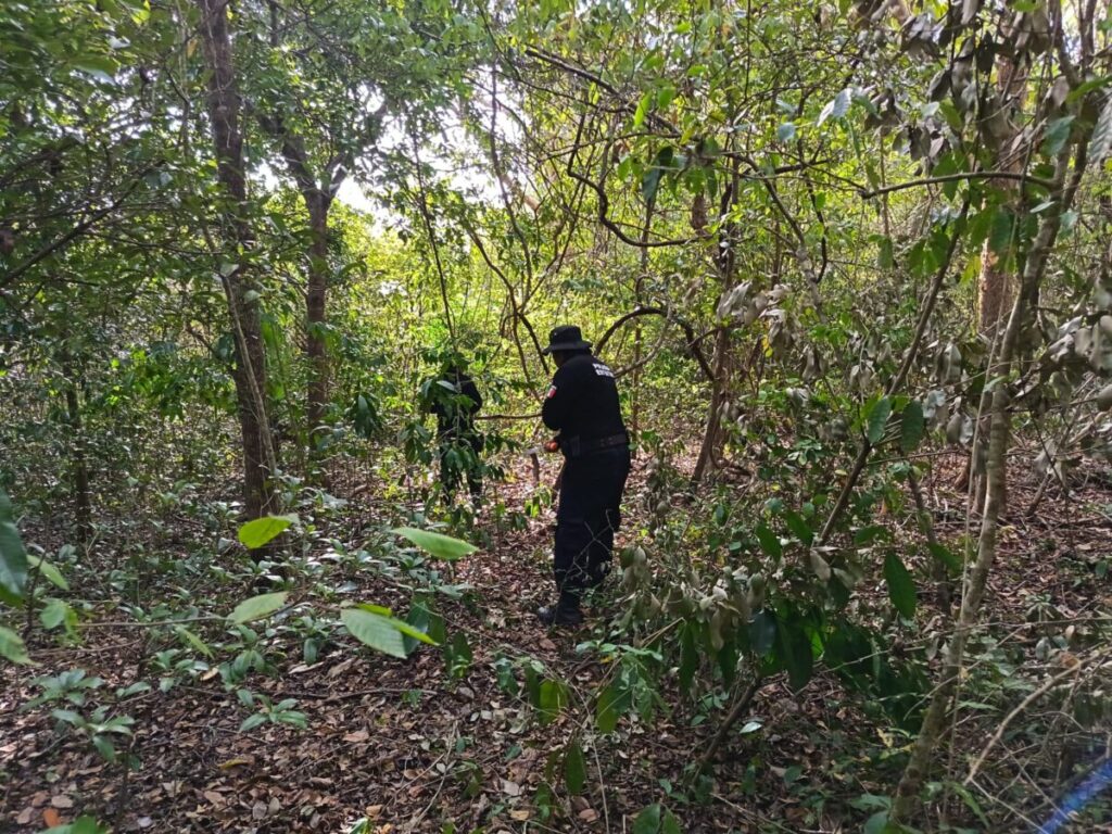 SSP Yucatán realiza operativo de búsqueda para localizar a hombre extraviado en los montes de Oxkutzcab