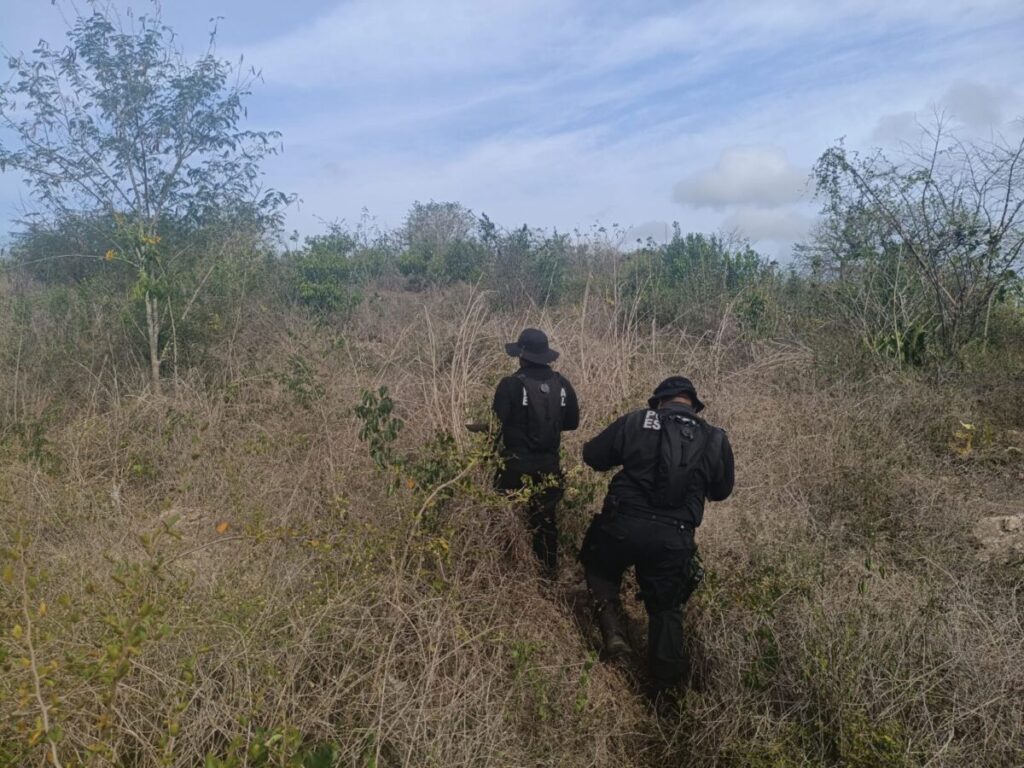 SSP Yucatán realiza operativo de búsqueda para localizar a hombre extraviado en los montes de Oxkutzcab