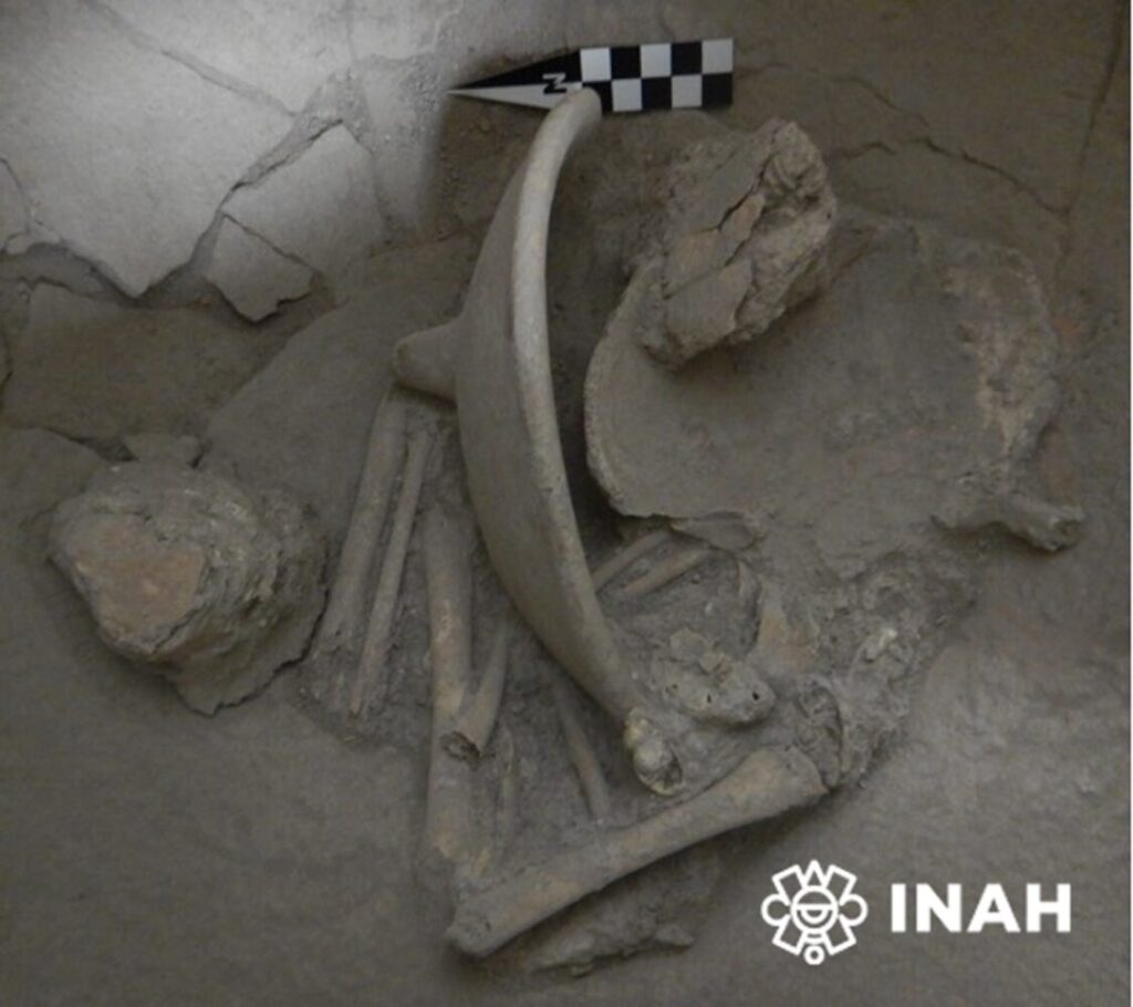 Revelan antiguos secretos mayas: hallan urnas funerarias con restos infantiles en  Campeche/ INAH