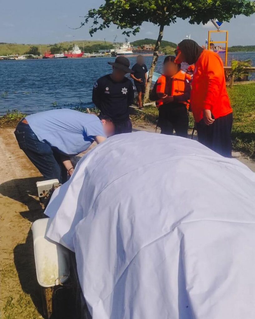 Muerte de manatí en el río Coatzacoalcos, Veracruz es investigado por la Profepa; presentaba lesiones por impacto