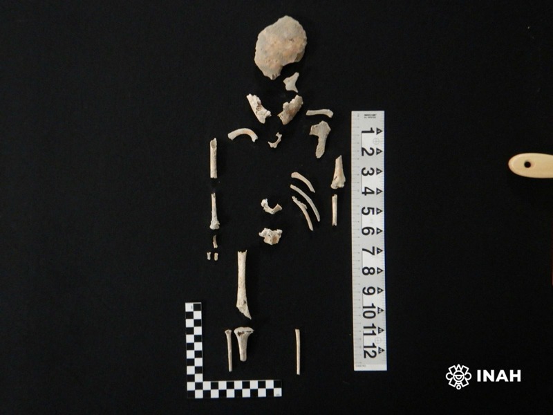 Revelan antiguos secretos mayas: hallan urnas funerarias con restos infantiles en Campeche/ INAH