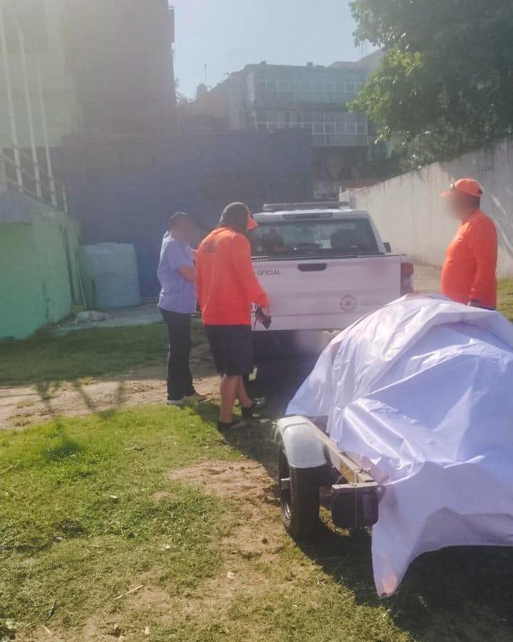 Muerte de manatí en el río Coatzacoalcos, Veracruz es investigado por la Profepa; presentaba lesiones por impacto