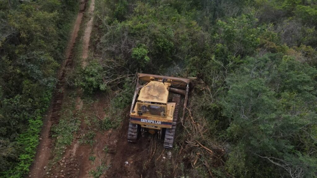 Sujetos a proceso por delitos ambientales en la Reserva Cuxtal de Mérida, Yucatán / Ayuntamiento de Mérida