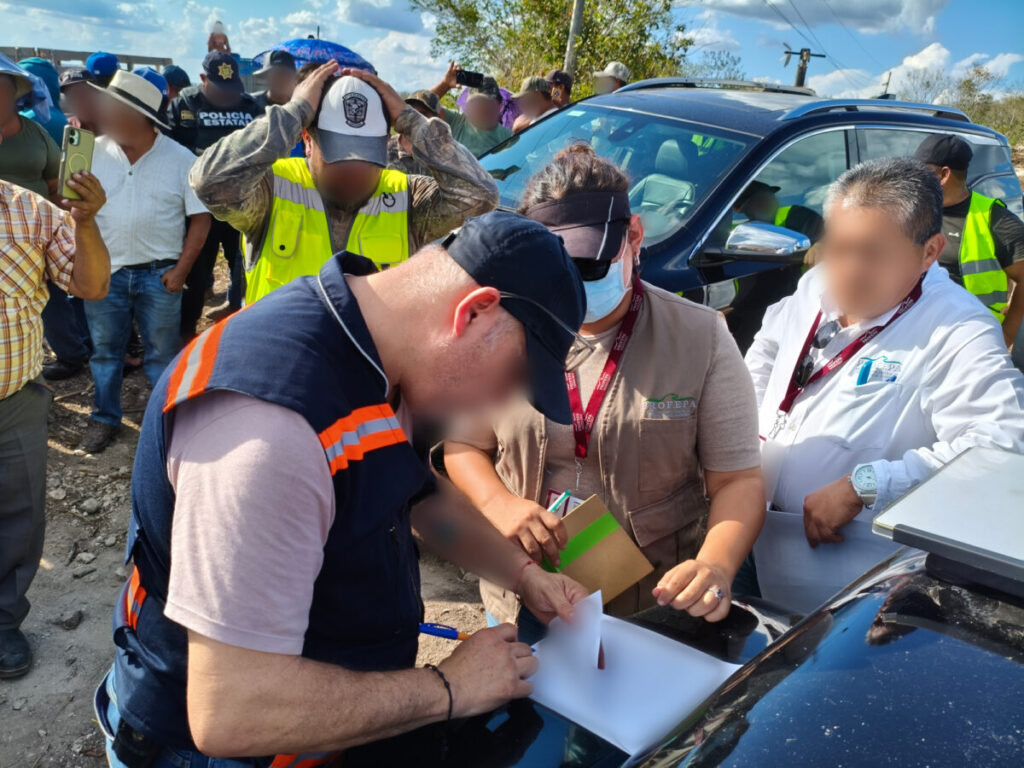 Profepa clausura predio en Tekax por desmonte ilegal de más de 18 hectáreas