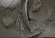 Revelan antiguos secretos mayas: hallan urnas funerarias con restos infantiles en Campeche/ INAH