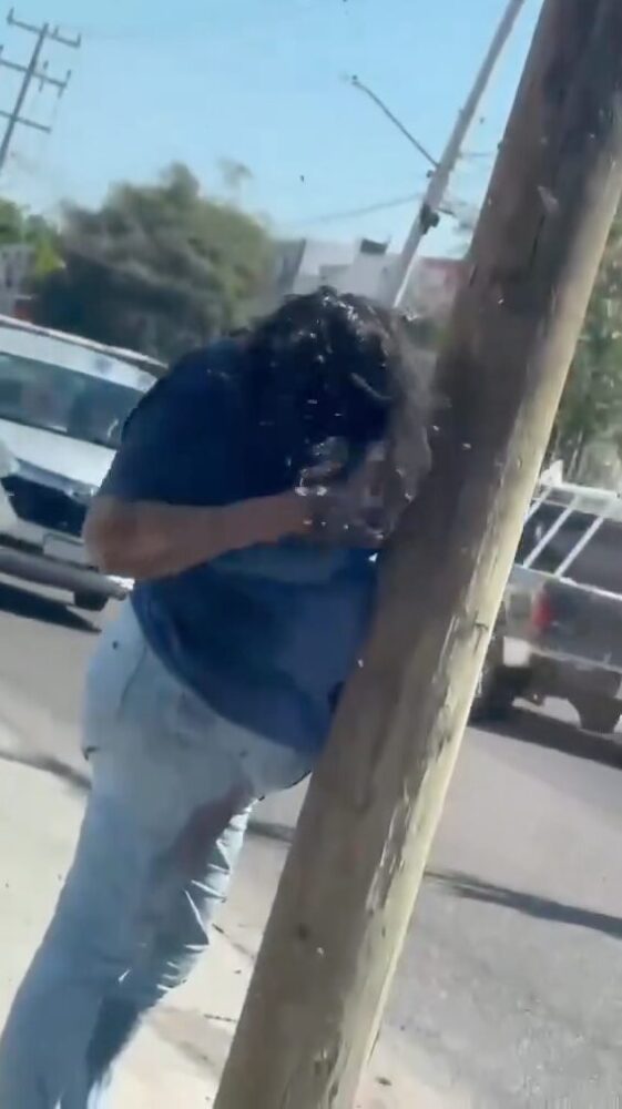 (Video) Ataque de abejas en Culiacán deja a mujer hospitalizada con más de 200 picaduras