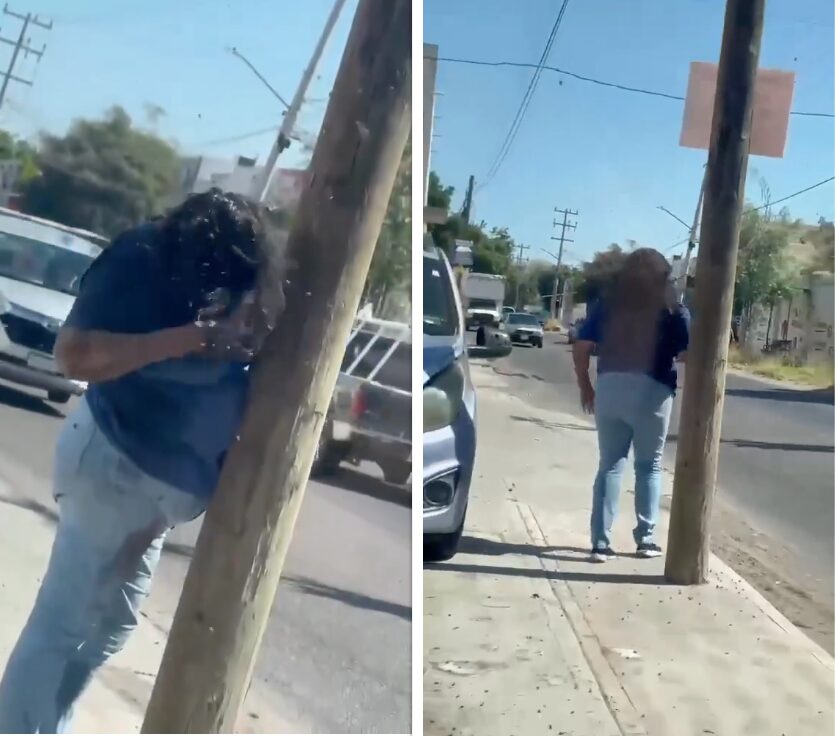 (Video) Ataque de abejas en Culiacán deja a mujer hospitalizada con más de 200 picaduras