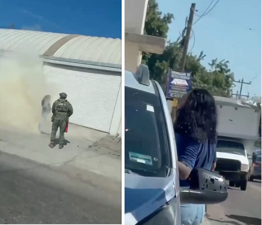 (Video) Ataque de abejas en Culiacán deja a mujer hospitalizada con más de 200 picaduras