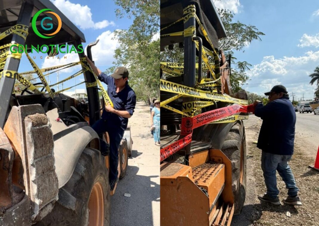 Vecinas y vecinos detienen tala ilegal de árboles en Cholul en colaboración con el Ayuntamiento de Mérida