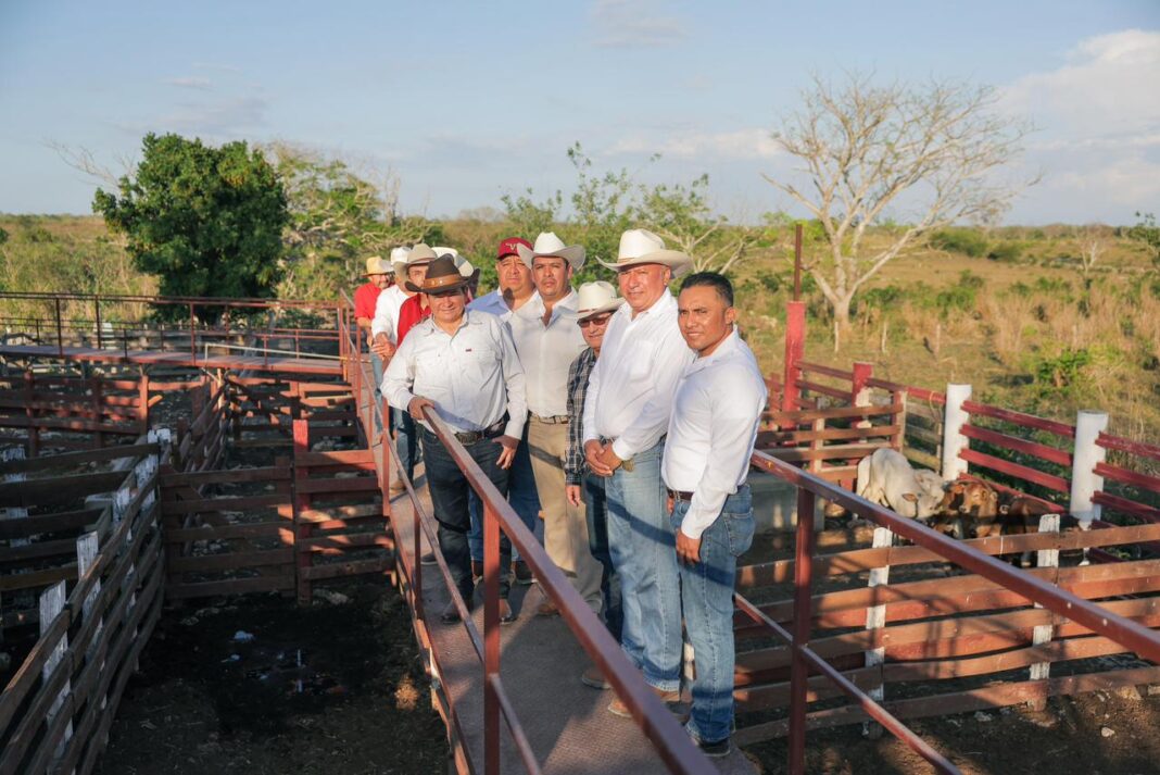 Renacimiento Maya impulsa el campo y entrega espacios públicos en Panabá, Yucatán / Joaquín Díaz Mena