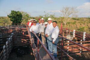 Renacimiento Maya impulsa el campo y entrega espacios públicos en Panabá, Yucatán / Joaquín Díaz Mena