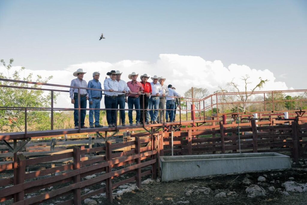 Renacimiento Maya impulsa el campo y entrega espacios públicos en Panabá, Yucatán / Joaquín Díaz Mena