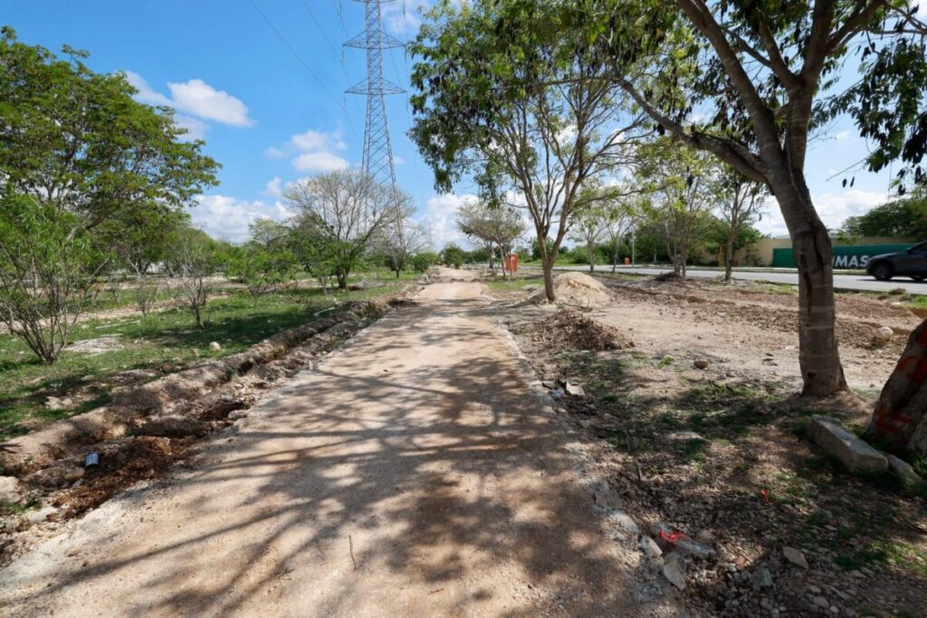 Guía completa del Corredor Verde en Ciudad Caucel: Especies nativas y diseño urbano