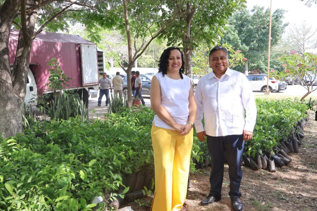 Impulsan estrategia de reforestación en escuelas de Yucatán