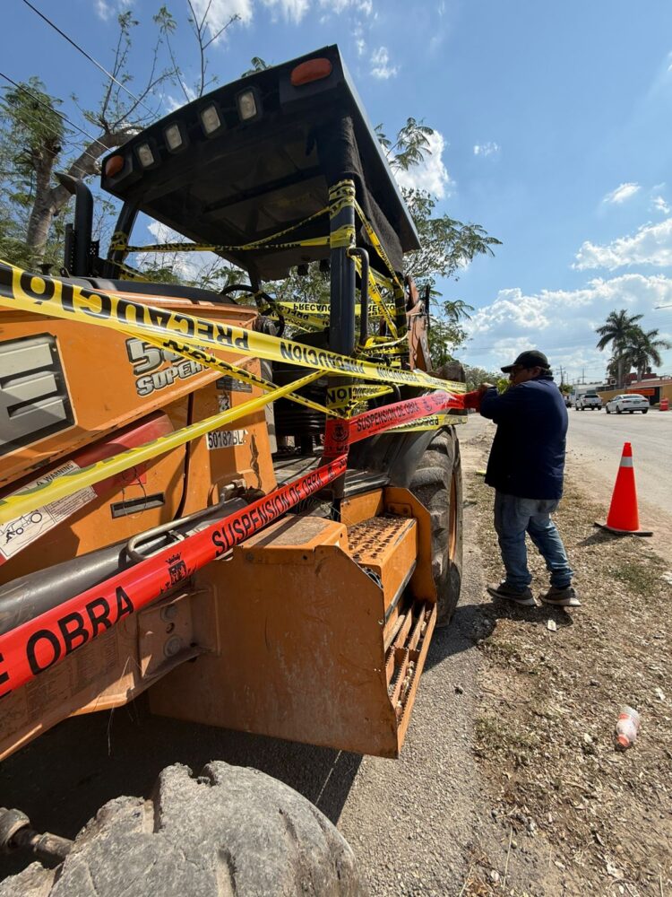 Vecinas y vecinos detienen tala ilegal de árboles en Cholul en colaboración con el Ayuntamiento de Mérida