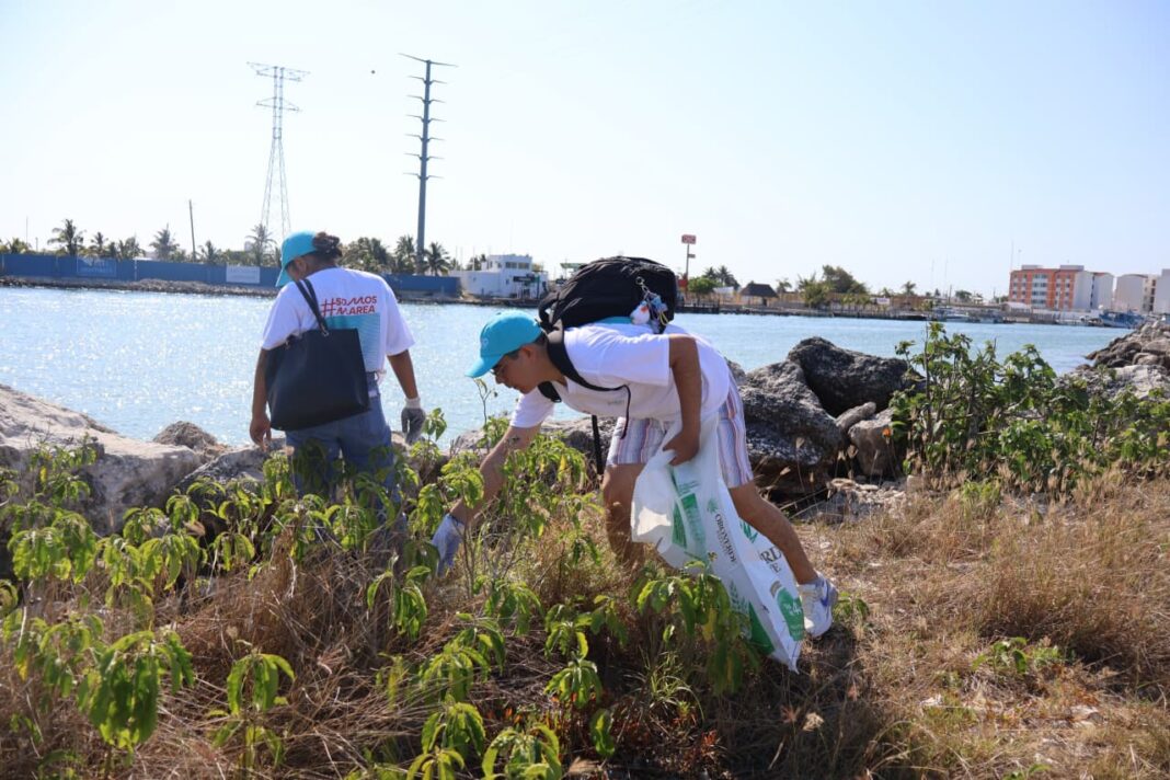 Gobierno de Yucatán sanea Playa Cerditos como parte del programa de limpieza costera en Progreso