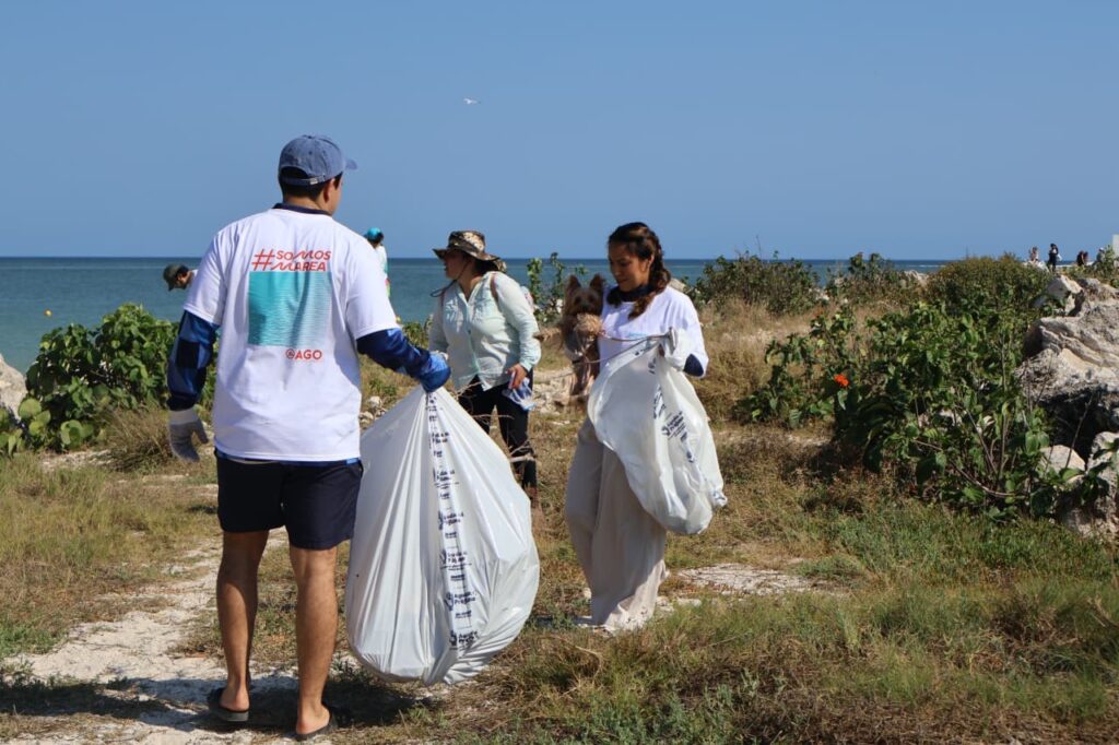 Gobierno de Yucatán sanea Playa Cerditos como parte del programa de limpieza costera en Progreso